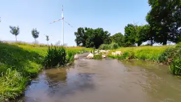 Mosonmagyarovarhallepcso 1