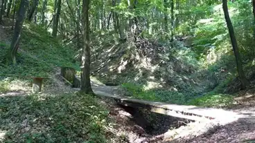 Nagybakonak Arpad Forras