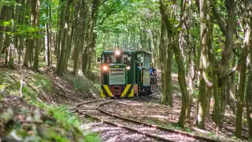 Nagyborzsonyi Erdei Vasut 1