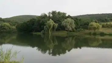 Nagyborzsonyi Horgaszto 1