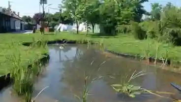 Nagyer Szikes Vizes Elohelyek Tanosveny