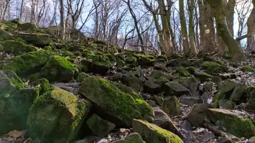 Nagygorbo Bazalt Utca 1