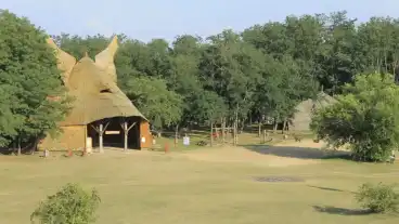 Nagykallo Harangod 1