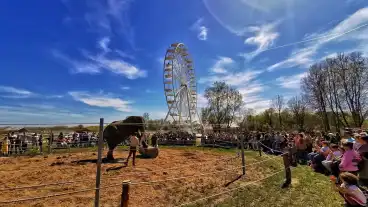 Éjszaka a nagykőrösi Safari Parkban