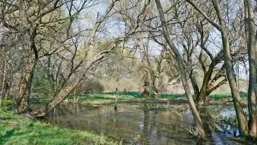 Nagykovacsi Bekas To 1