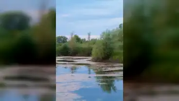 Nagypirit Kavicsbanya To