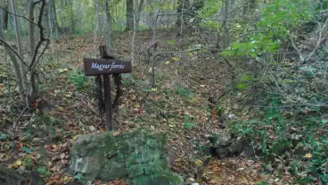 Nemetbanya Magyar Forras 1