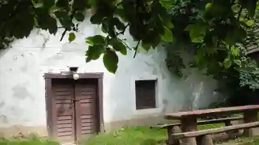 Neszmely Sertes Volgyi Pincesor 1