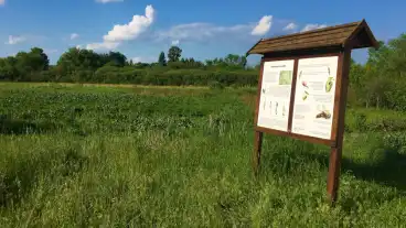 Noszirom Tanosveny 01