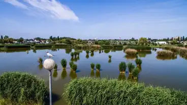 Nyiregyhaza Bujtosi To 1