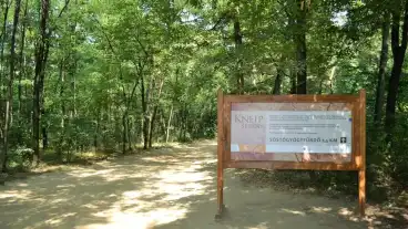 Nyiregyhaza Sostoi Erdo 1