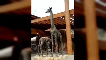 Nyiregyhaza Zsiraf Csalad Szobor