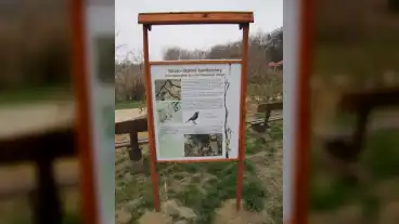 Nyirmada Szolo Laposi Tanosveny