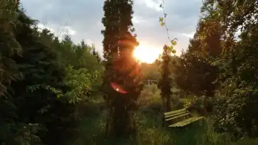 Nyirpazony Nyiri Arboretum 1