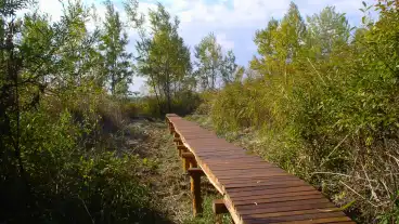 Ocsa Tanosveny A Turjanban 1