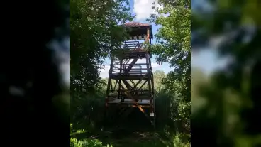 Ocseny Saros Alja Madarmegfigyelo Torony 1