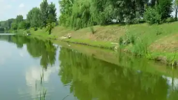 Okoritofulpos Horgaszto