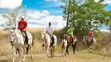 Opusztaszer Akhal Menes 1