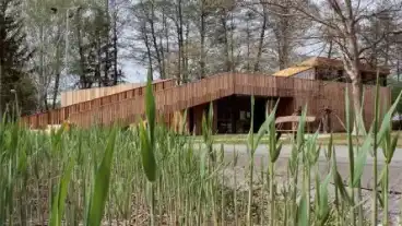 Orfu Medvehagyma Haz 1