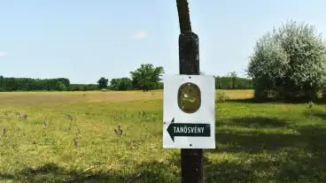 Orgovany Pimpo Tanosveny