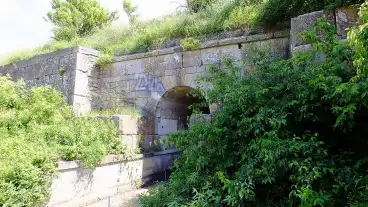 Osku Kikeri Toi Gat 1