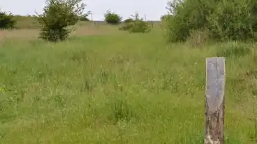 Paks Urge Mezo Tanosveny