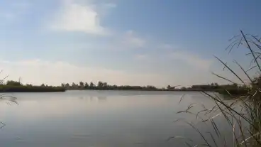 Palmonostora Horgaszto 01