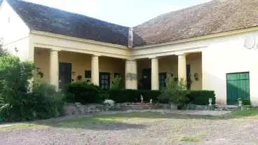 Palmonostora Sargamajor 1