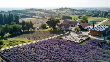 Pannonhalma Arboretum Es Gyogynovenykert 1