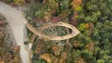 Pannonhalma Lombkorona Tanosveny