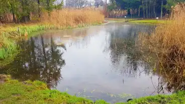 Papa Tapolca Forras Tanosveny