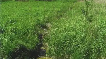 Papakovacsi Attyai Lapret 1