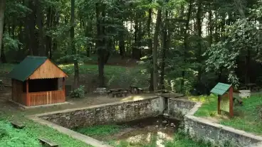 Papateszer Grofi Furdo