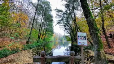 Pecs Egervolgyi Tanosveny