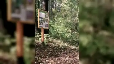 Pecs Kismelyvolgyi Tanosveny