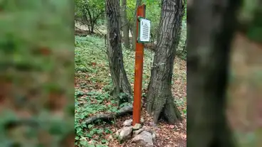 Pecs Rotary Tanosveny