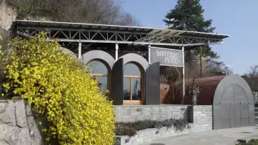 Pecs Somogyi Pince 1