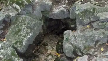 Penzesgyor Judit Forras