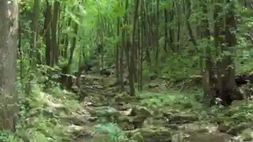 Penzesgyor Kerteskoi Szurdok