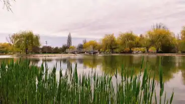 Petfurdo Csonakazo To 01