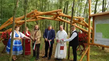 Petofiszallas Erdei Kapolna 1