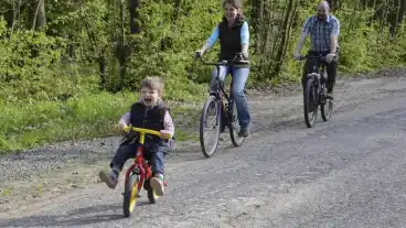 Pilisi Parkerdo Fejlesztes