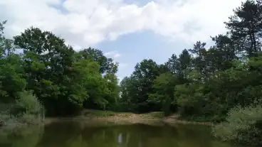 Pilisszentivan Jagi Tanosveny