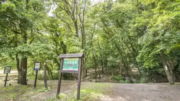 Pilisszentkereszt Dera Szurdok 1