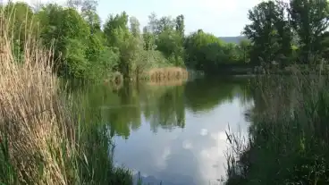 Pilisvorosvari Banyatavak 1