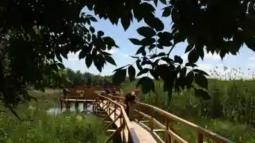 Porboly Forgo Tavi Tanosveny