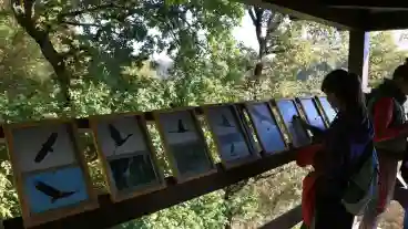 Porboly Molnarka Tanosveny 1