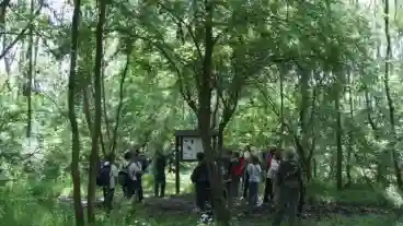 Porboly Nyeki Holt Duna Tanosveny