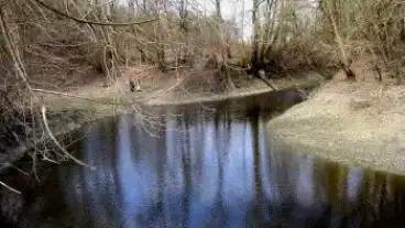 Porboly Vajas Torok Tanosveny