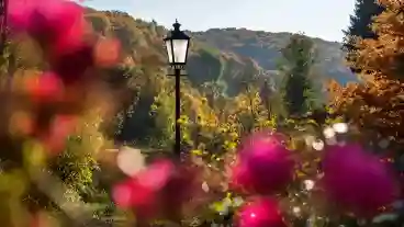 Puspokszentlaszloi Kastely Arboretuma 1